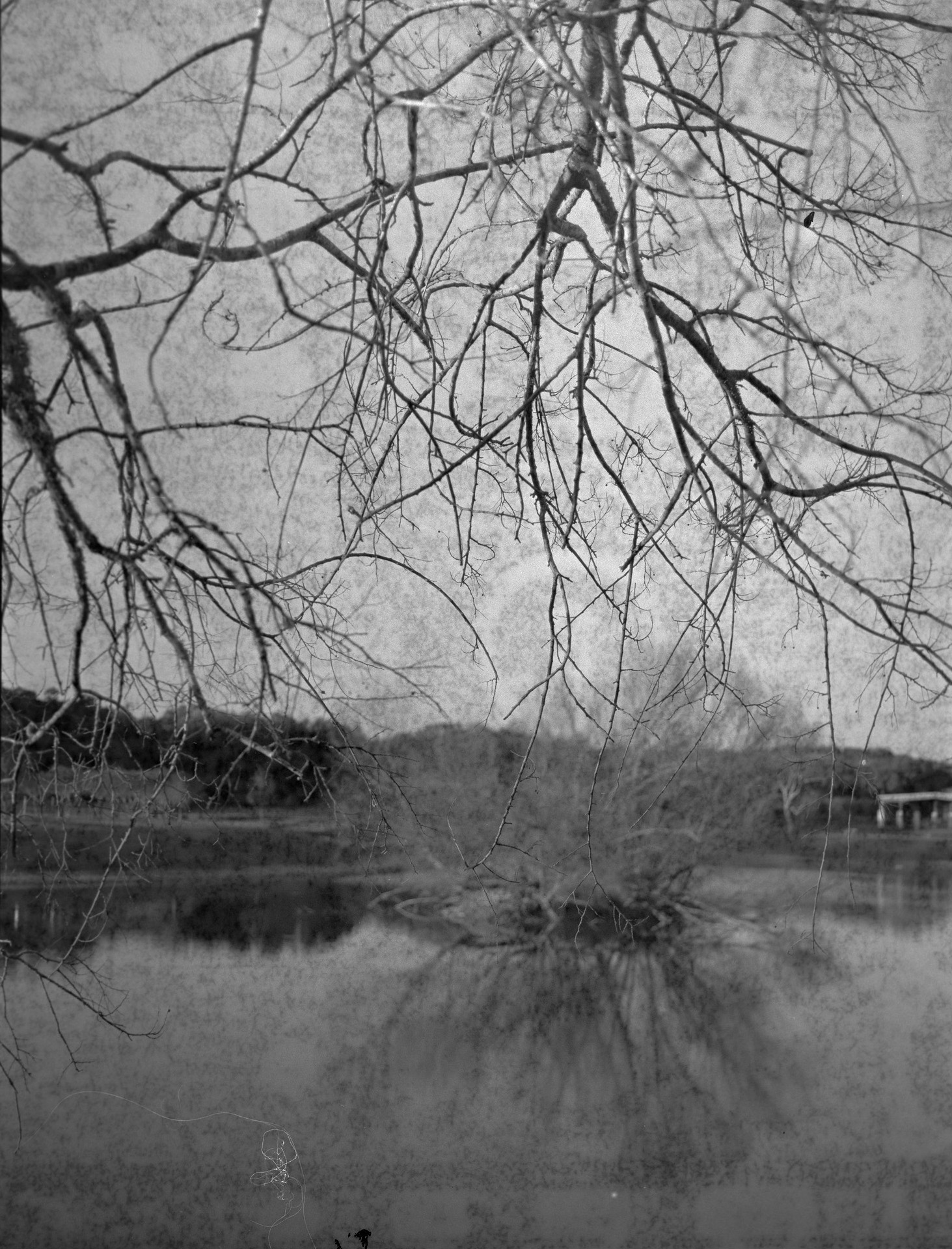 Ilford XP1 Sample - 120 Format