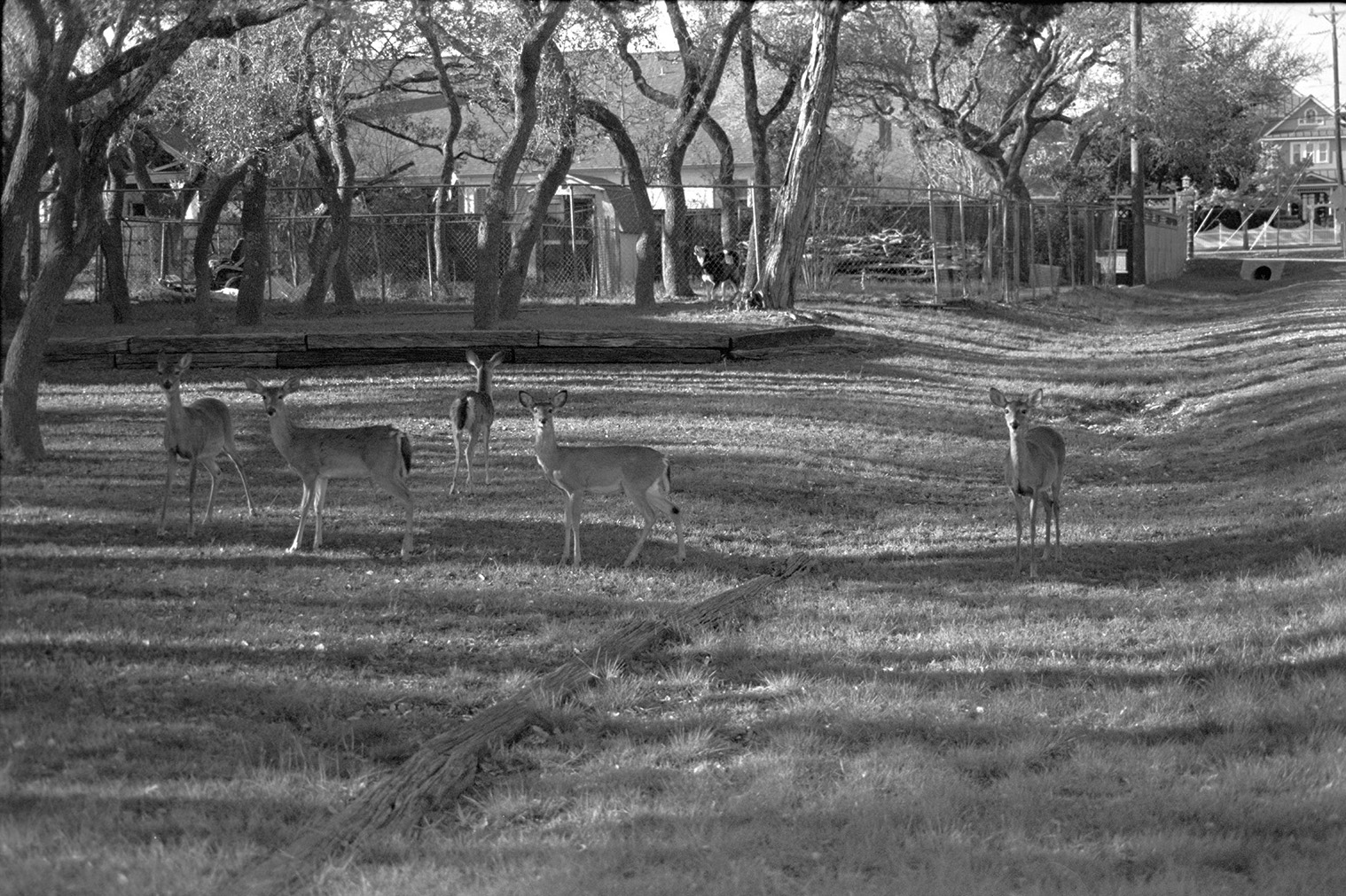 Kodak BW400CN Sample 3