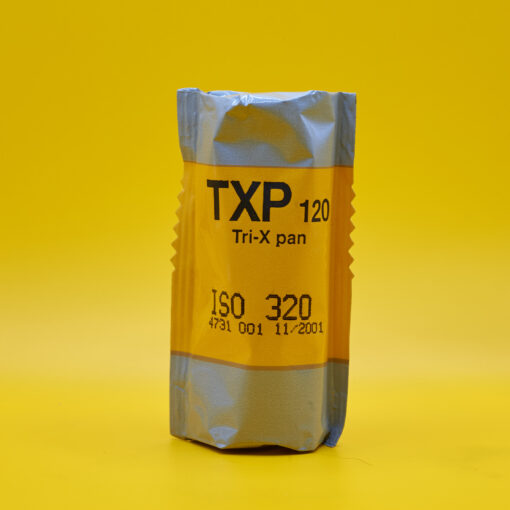 Kodak Tri-X Pan 320 TXP (2001)