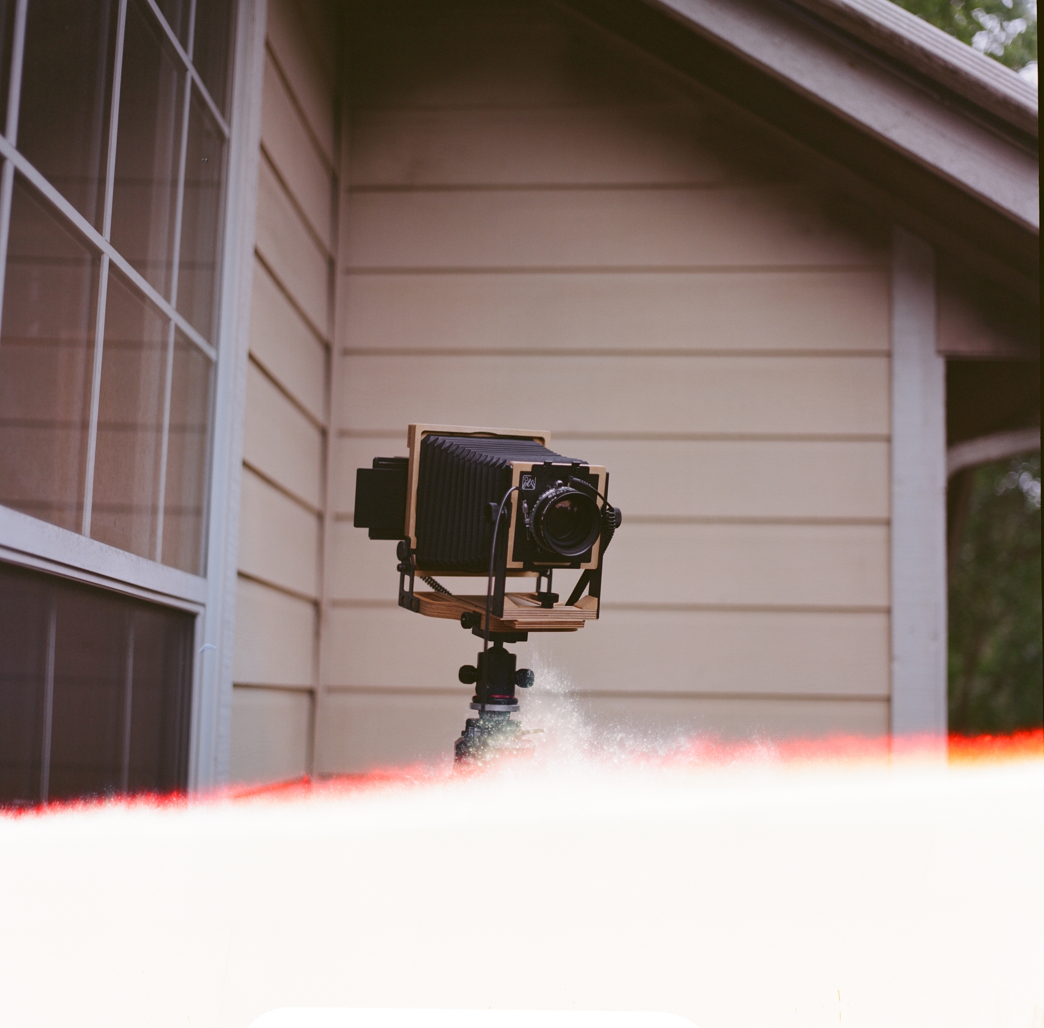 Fuji Reala 100 - Image 3