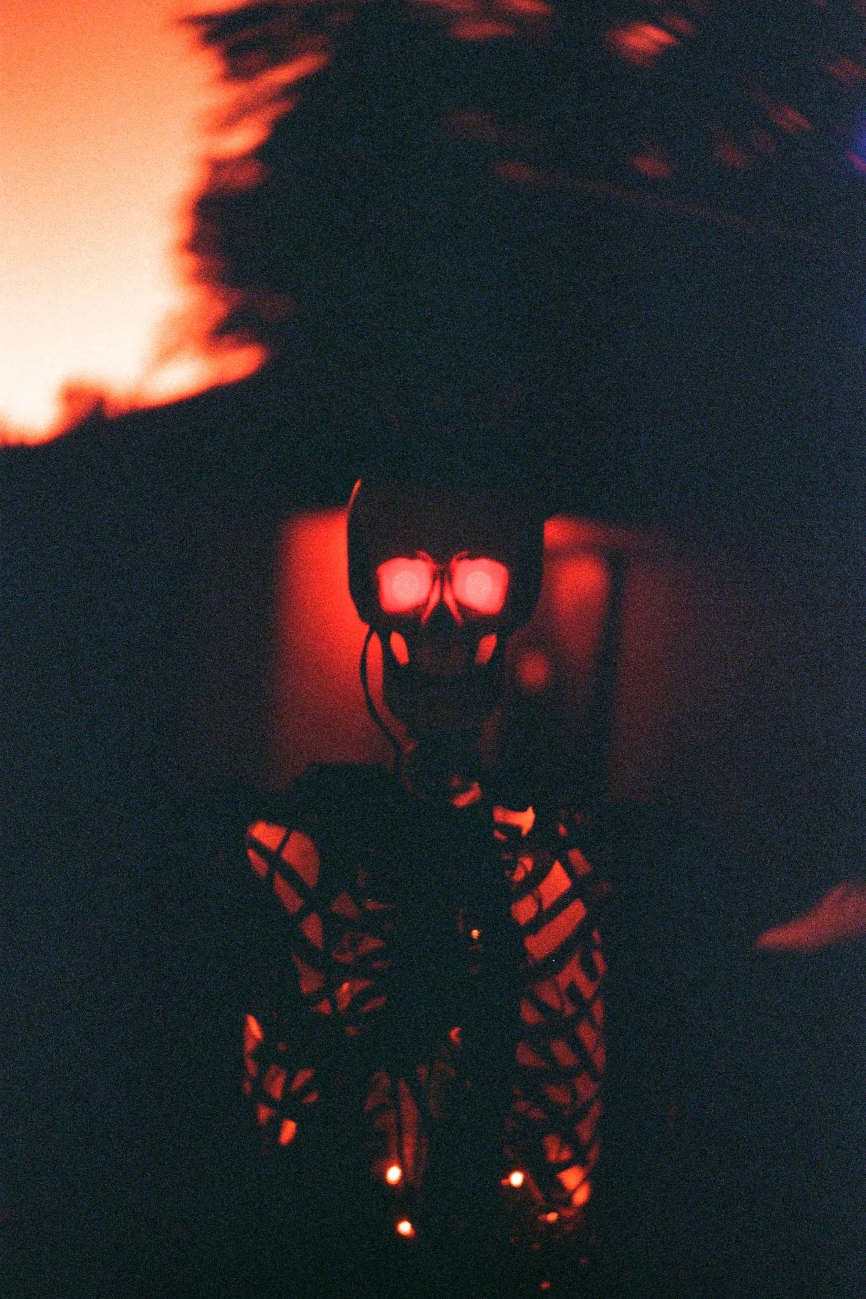 Rojo Redscale 35mm Film - Unique Red-Hued Negative, 20 Exposures, Experimental Color - Image 7