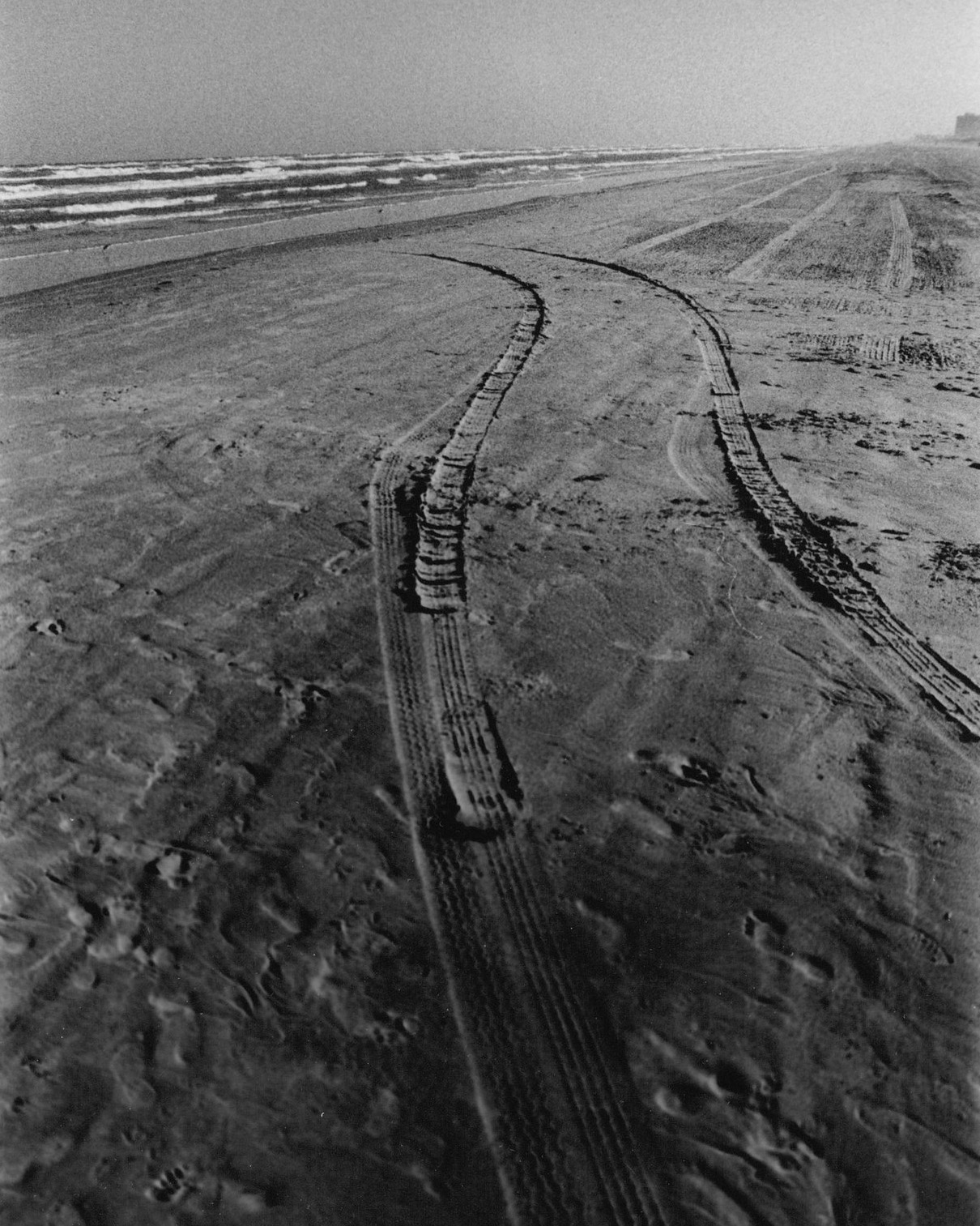 Ilford XP1 Sample - 120 Format