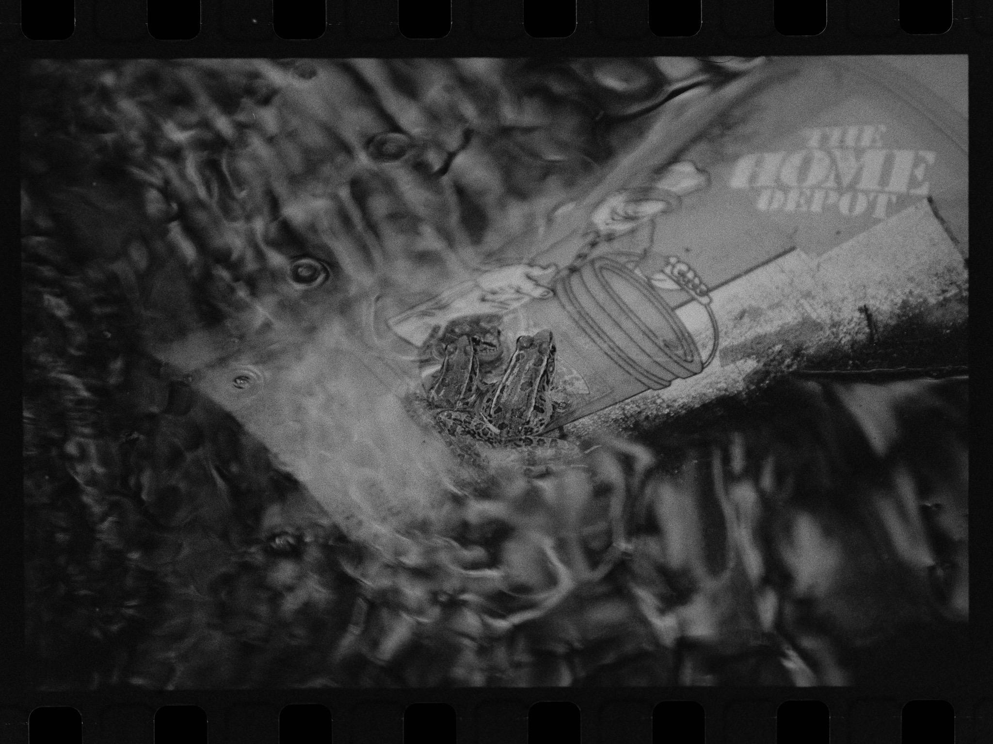 Declassified Spy Film – Cypher25 Black and White 35mm (36 exp) - Image 3