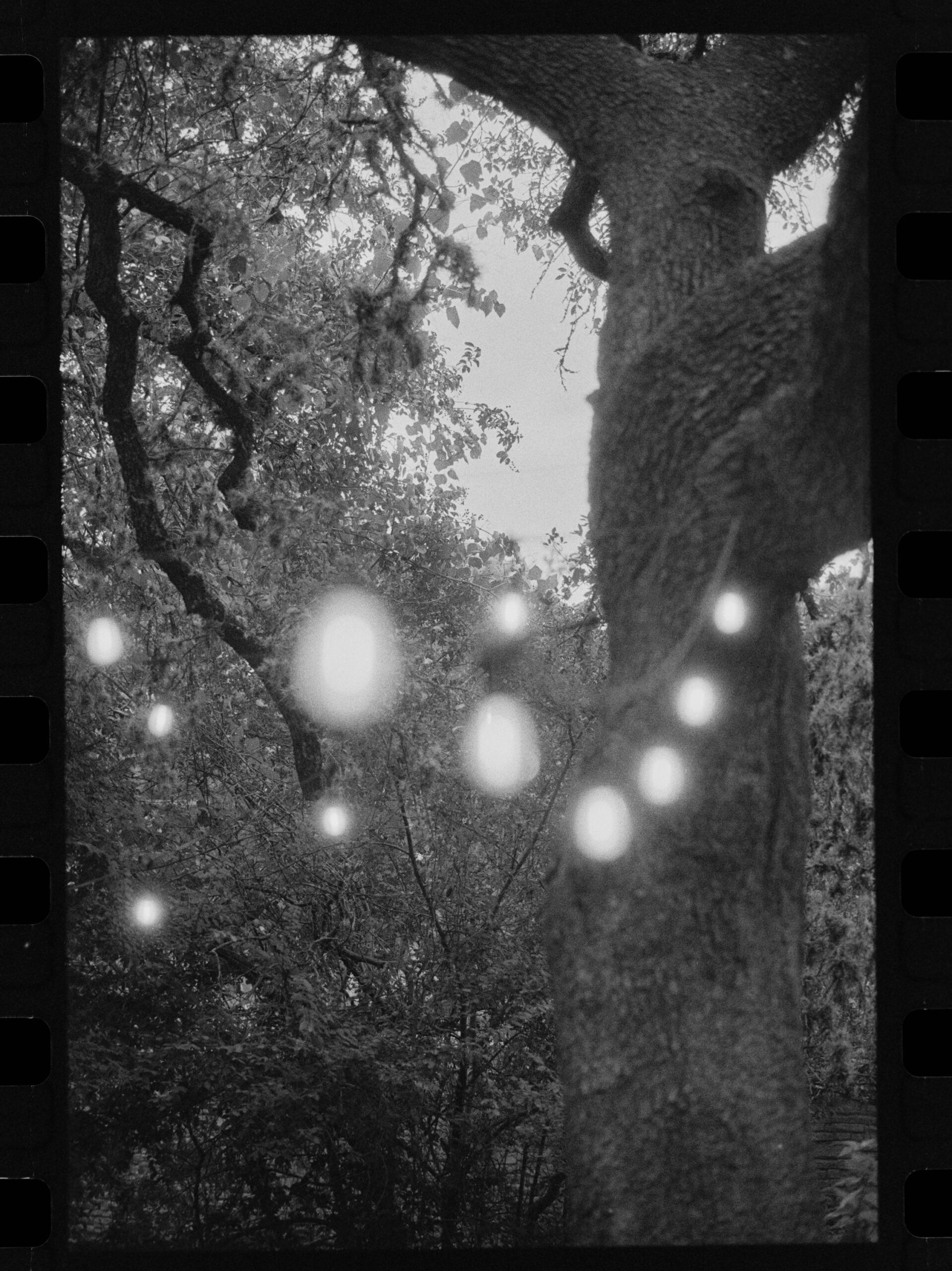 Declassified Spy Film – Cypher25 Black and White 35mm (36 exp) - Image 5