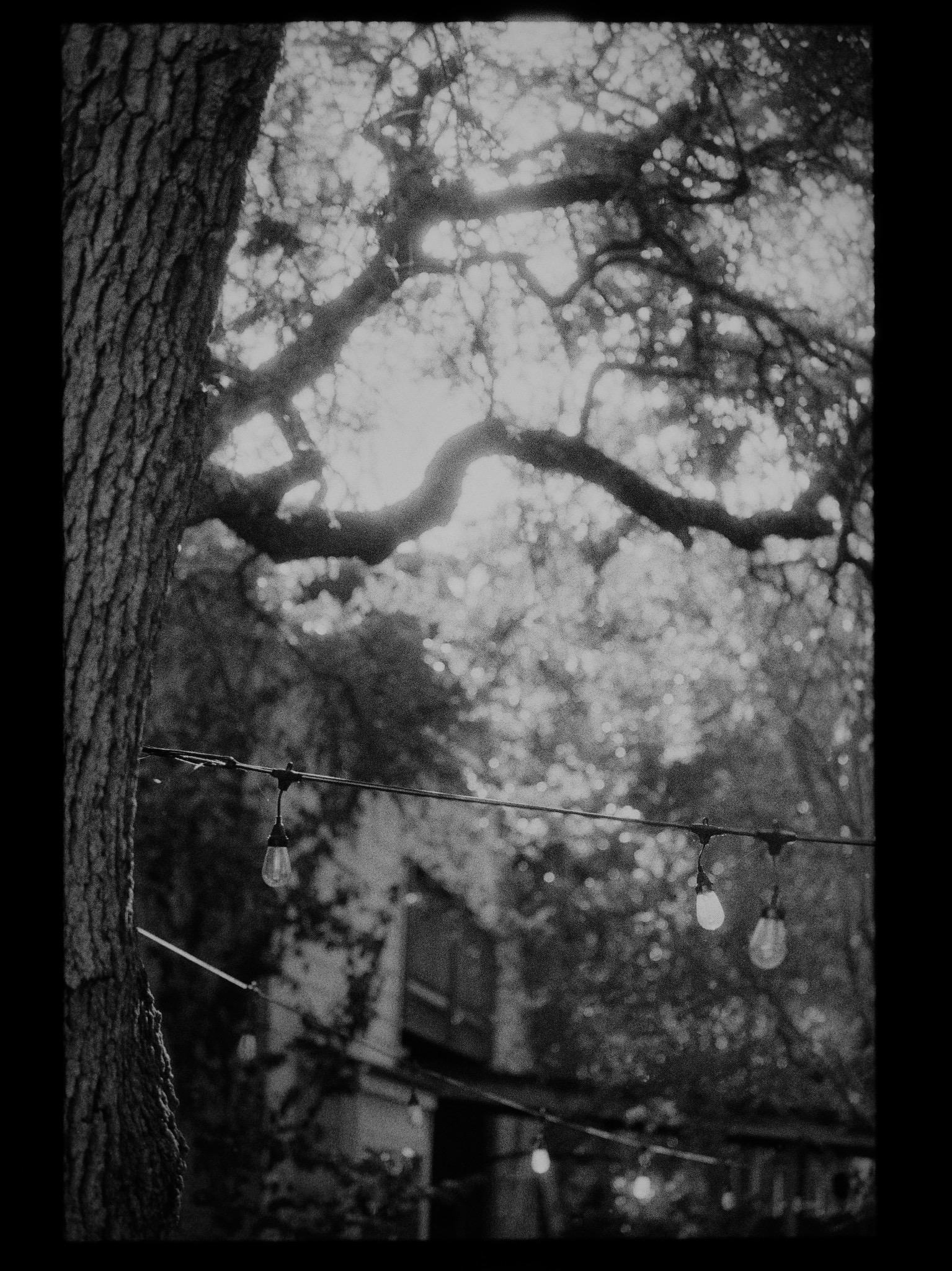 Declassified Spy Film – Cypher25 Black and White 35mm (36 exp) - Image 4